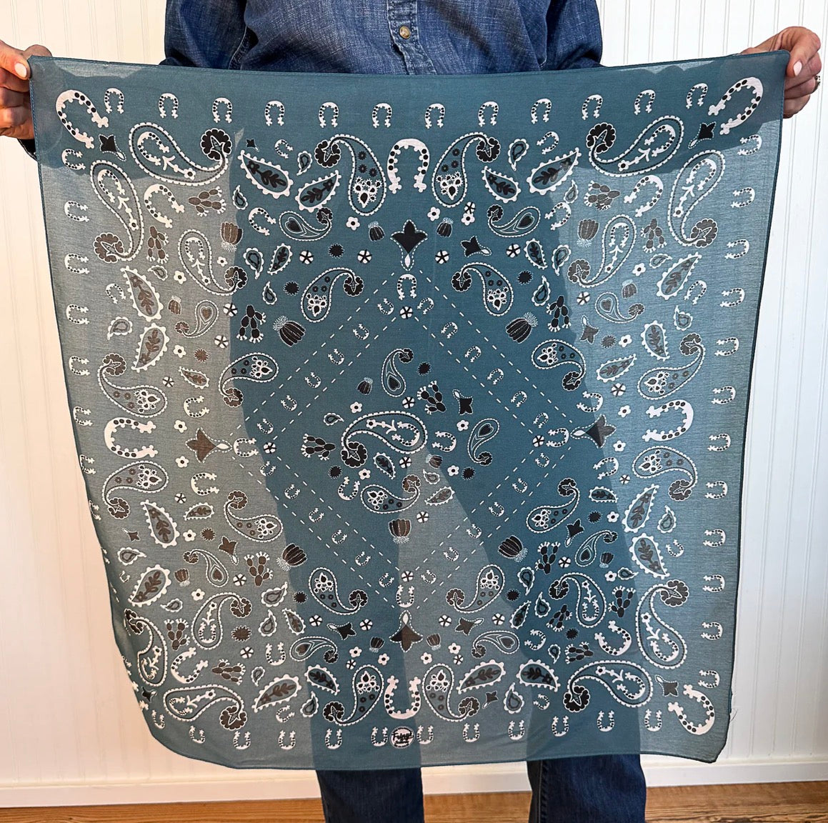 Luck Be A Paisley Shorty
