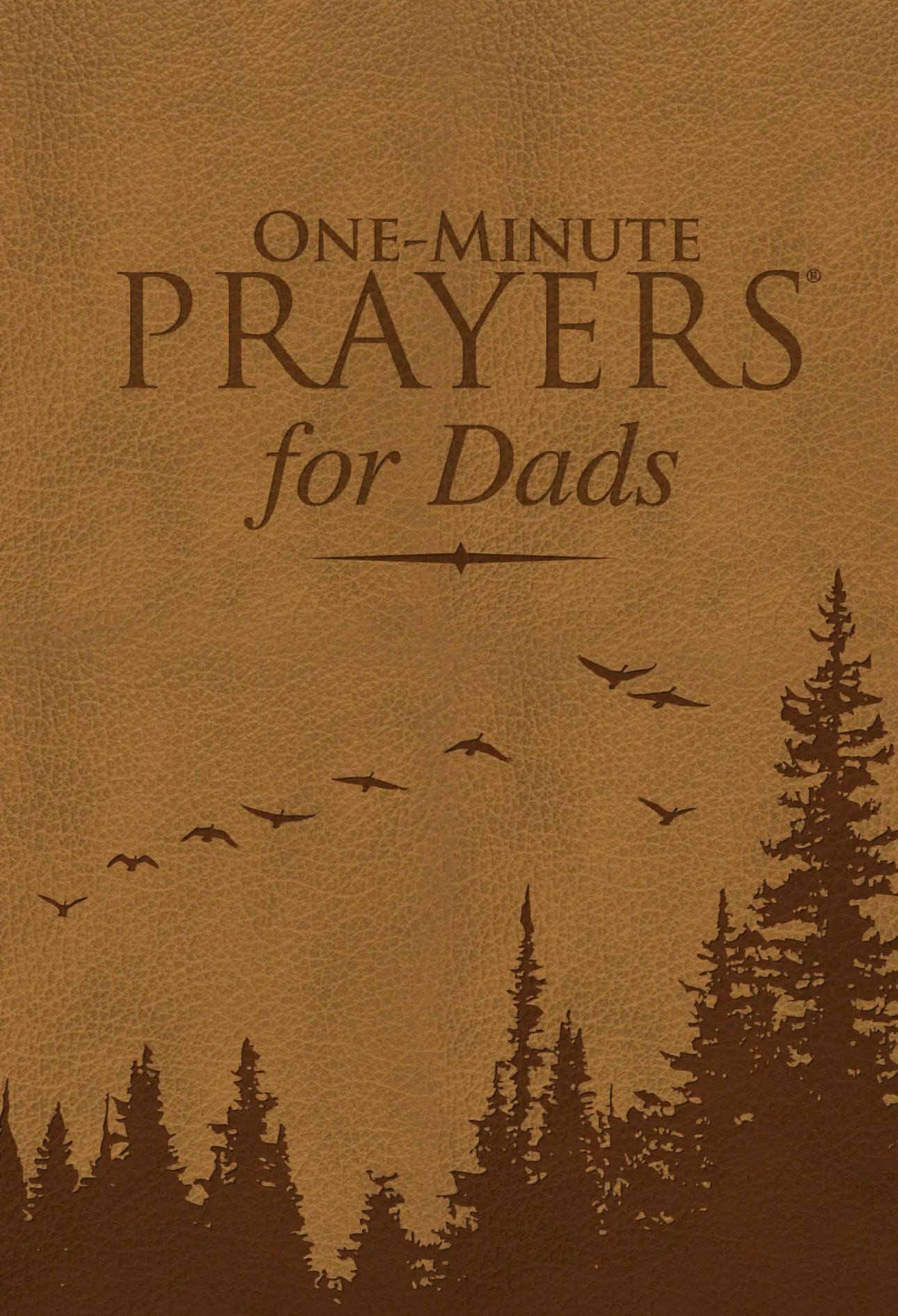 One Minute Prayers for Dads