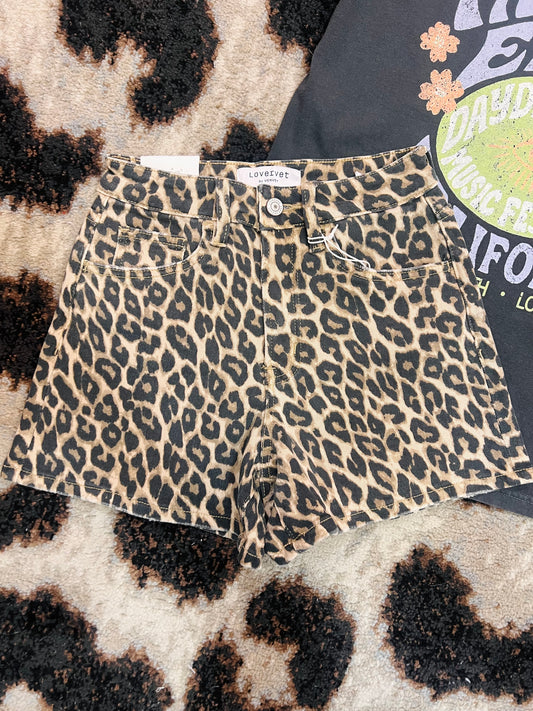 Leopard High Rise Shorts