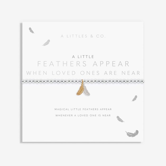 Feathers Appear When a Loved One is Near