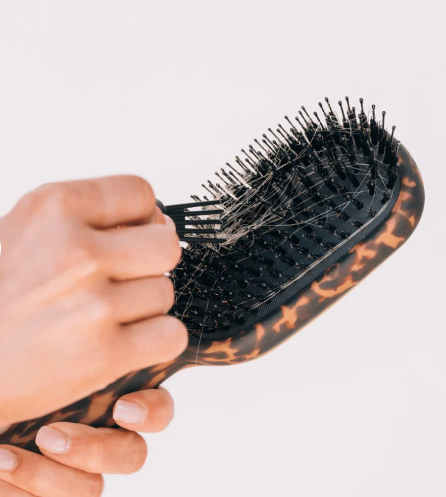 Teleties Boar Bristle Brush