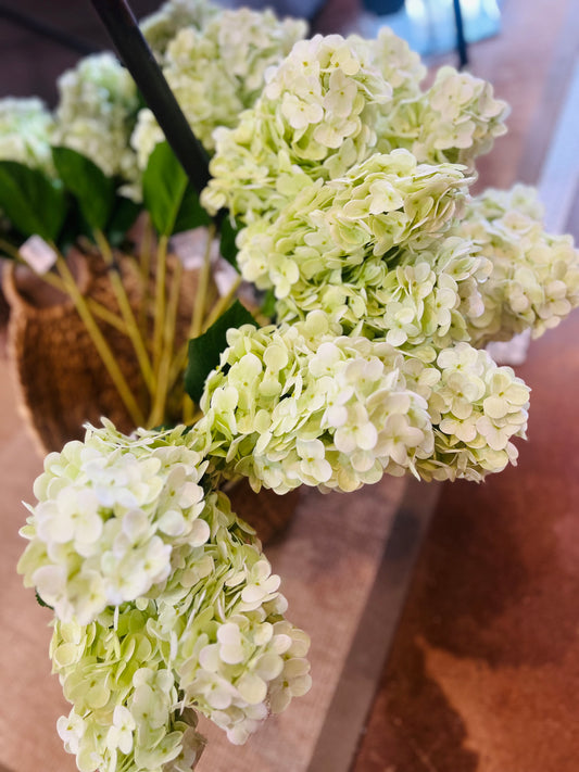 29" Real Touch Hydrangea