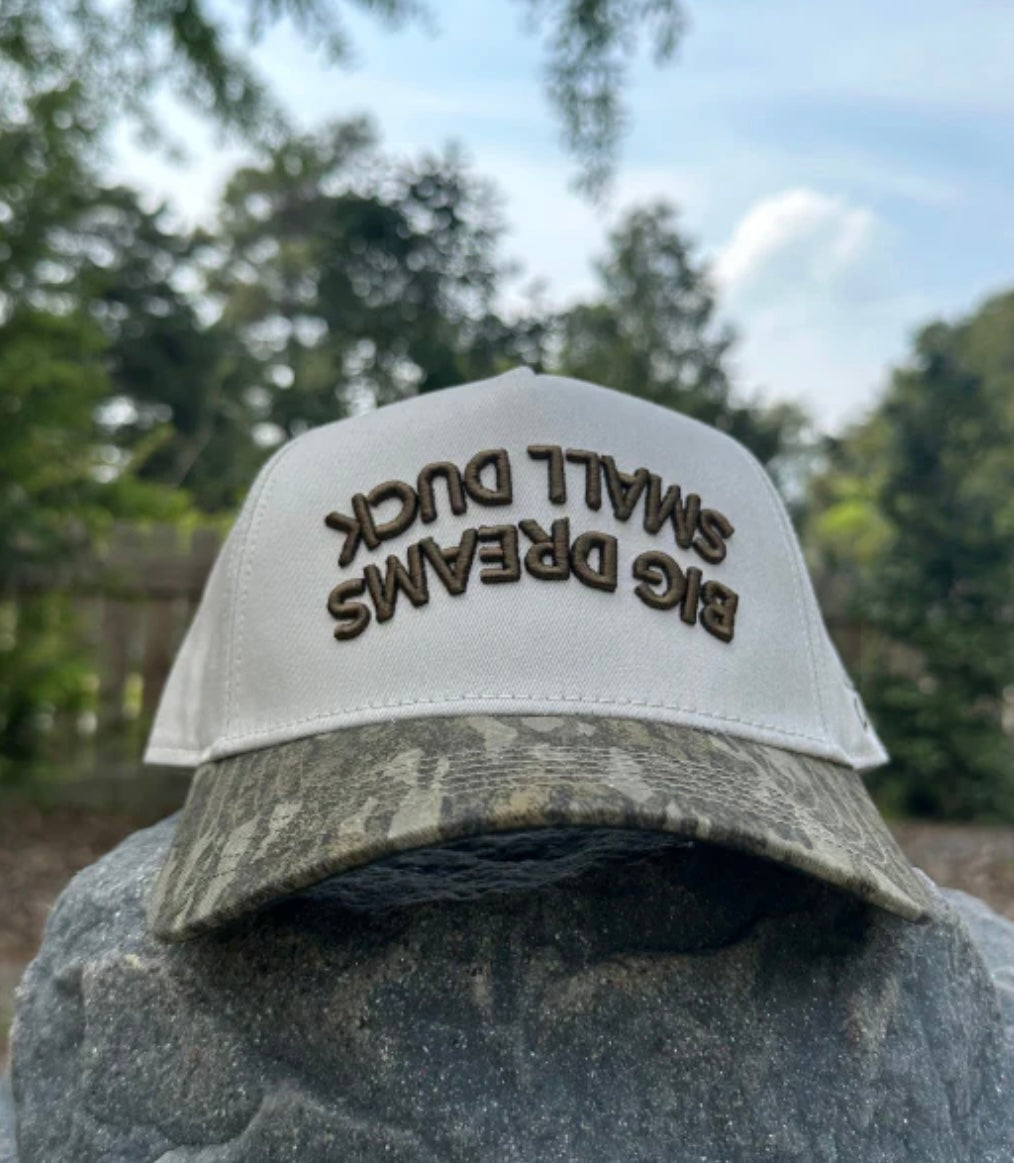 Small Ducks Big Dreams