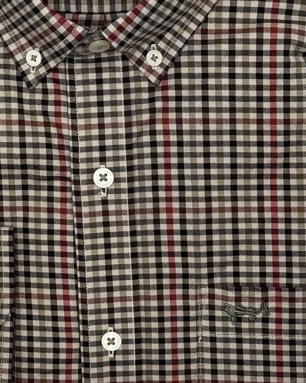 Evergreen Cotton Stretch Sport Shirt